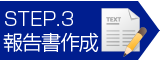 報告書の作成
